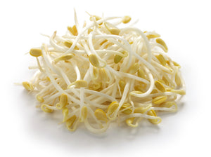 Beansprouts 300grams
