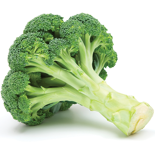 Broccoli 500gm approx