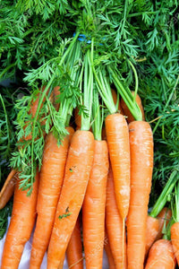 Carrot Bunched