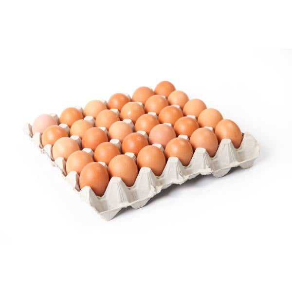 Eggs Tray 30